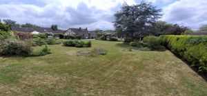 Photo 41- click for photo gallery